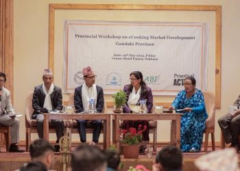 ‘आयातित एलपी ग्यासभन्दा बिजुली चुल्होकाे प्रयाेग नै सस्तो’