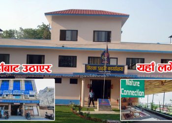 पोखराको बाग्लुङ बसपार्कबाट ४ युवकले यसरी उठाए आमालाई औषधि किन्न गएकी बालिका