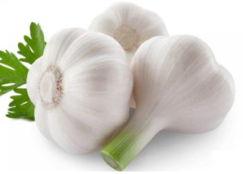 हरेक दिन एउटा पोलेको लसुन खाँदा फाइदाहरु