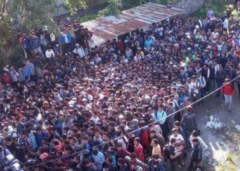 लाइसेन्स लिन लाइन