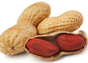 जाडो महिनामा किन खाइन्छ बदाम ? जान्नुहोस् फाइदा