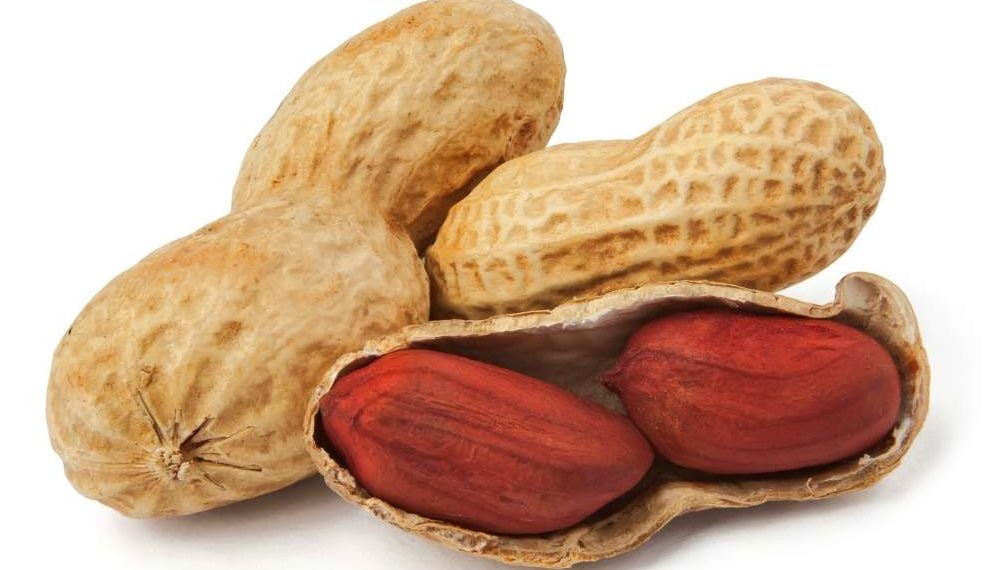 जाडो महिनामा किन खाइन्छ बदाम ? जान्नुहोस् फाइदा