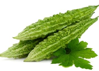 स्वादमा तितो तर स्वास्थ्यका लागि निकै फाइदाजनक