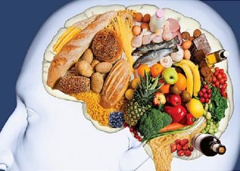 बिर्सने समस्या छ ? दिमाग तेजिलो बनाउन नछुटाउनुस् यी ६ खानेकुरा