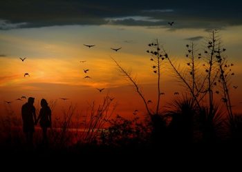 सराङकोट डेटिङमा प्रहरीले नै आतंकित पारेपछि …