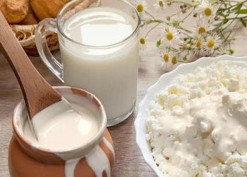 मानव स्वास्थ्यका लागि दूध राम्रो कि दही ?
