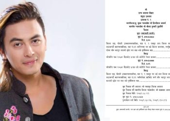 पल शाहको मुद्दा फैसलाको पूर्णपाठ: नाबालिका र पिताले नै `हाेइन´ भनेपछि दाेषी भन्न मिलेन