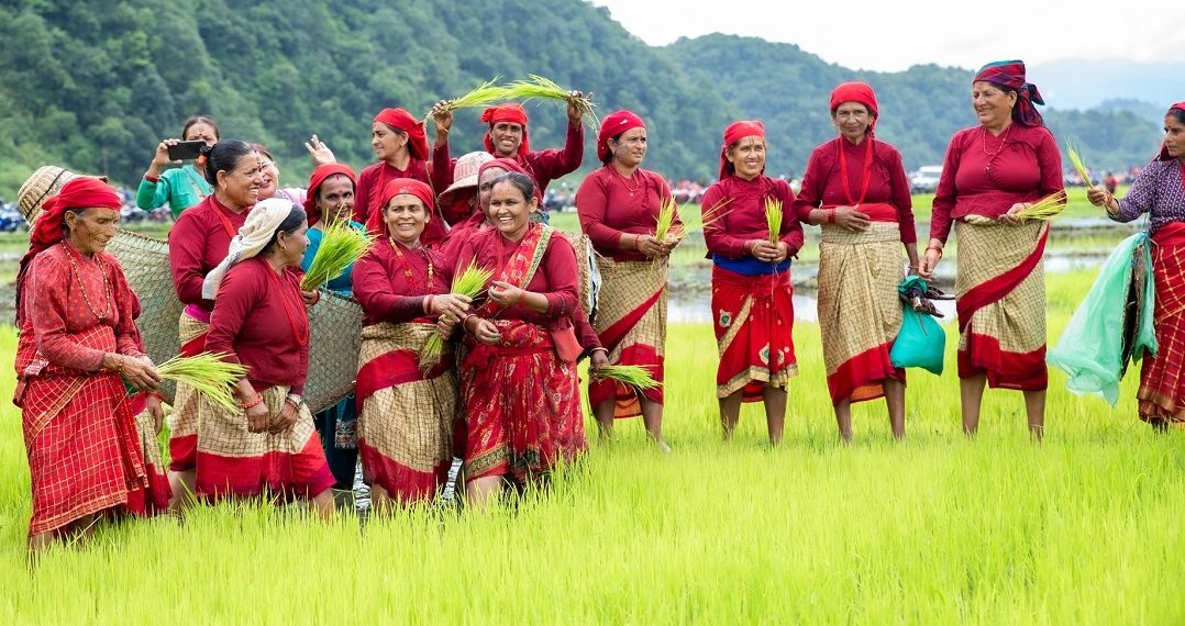 पोखराको १८ औं रोपाइँ महोत्सवमा रमाइलाे [फोटो फिचर]