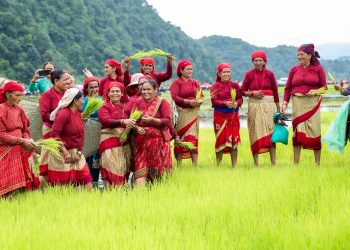पोखराको १८ औं रोपाइँ महोत्सवमा रमाइलाे [फोटो फिचर]