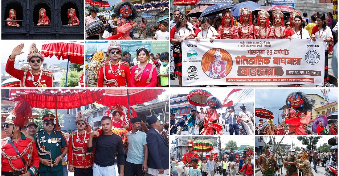 पोखरामा २३ वर्षपछि बाघजात्रा [फोटो फिचर]