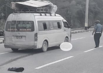 हेम्जामा फेरि दुर्घटना, तीव्र गतिको हाइसको ठक्करबाट ७५ वर्षीया वृद्धाको मृत्यु