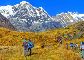 अन्नपूर्ण पदमार्गमा पर्यटकको लर्काे