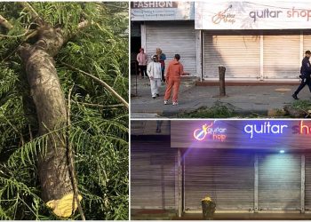 पोखरामा विना अनुमति आफ्नै जग्गाको रुख पनि नकाट्नुस्, कारबाहीमा पर्नुहोला