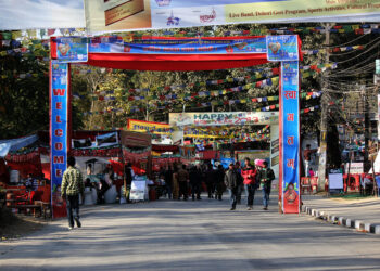 शनिबारदेखि लेकसाइडमा सडक महोत्सव, सम्पूर्ण तयारी पूरा