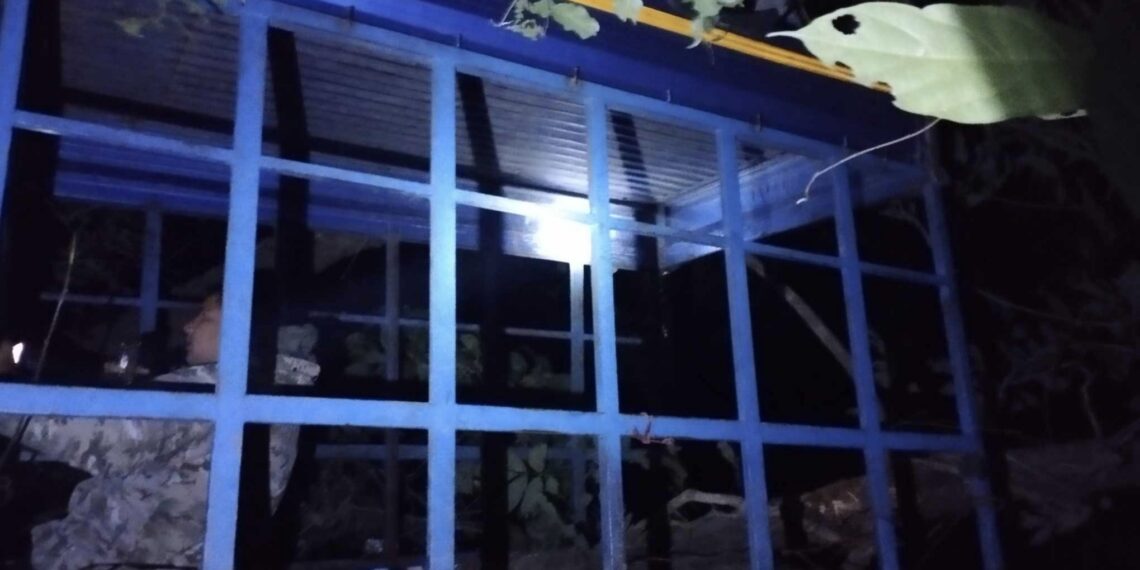 पिकअप भ्यान दुर्घटना, उपचारको क्रममा चालकको मृत्यु