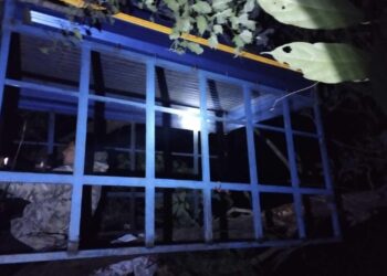 पिकअप भ्यान दुर्घटना, उपचारको क्रममा चालकको मृत्यु