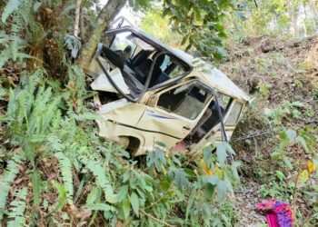 स्याङ्जामा विङ्गर भ्यान दुर्घटना: एकको मृत्यु, एक घाइते