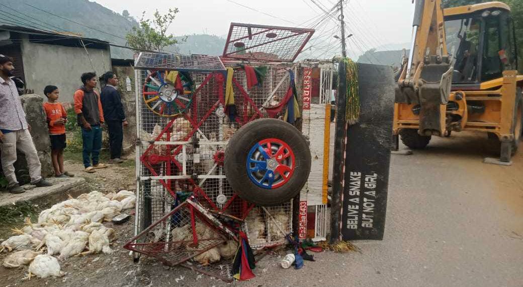 बोलेरो जीप दुर्घटना, ३०० कुखुरा मरे