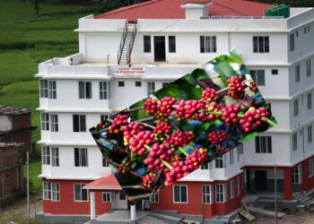 अर्जुनचौपारीमा कफी कृषकलाई नगद अनुदान