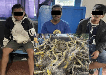 अवैध रुपमा जडिबुटी संकलन गर्ने तीनजना नियन्त्रणमा