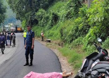 पोखरामा टिप्परको ठक्करबाट फेदीखोलाकी एक महिलाको मृत्यु