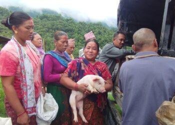 महिलाहरुलाई आत्मनिर्भर बनाउन बङ्गुरका पाठापाठी वितरण