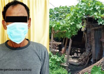 पोखरा रिठ्ठेपानीमा जङ्गे सार्कीले श्रीमती मारे, तीन दिनपछि गन्हाएर छिमेकीले थाहा पाए