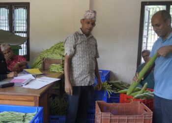 वालिङमा तरकारी किसानलाई प्रतिकिलो ५ रुपैयाँ प्रोत्साहन अनुदान