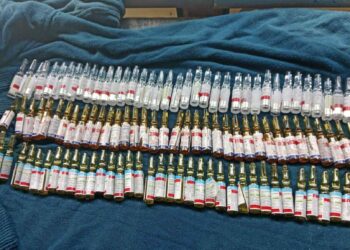 स्याङ्जामा बस चेकजाँचमा लागू औषधसहित दुई युवक पक्राउ