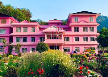 सडक खाना महोत्सवका अवसरमा वालिङमा सार्वजनिक बिदा