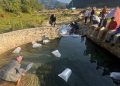 दरौंखोला र गड्यौलीखोलामा ७५ हजार माछाका भुरा छाडियो