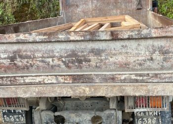 अवैध सालको काठसहित मिनि ट्रक नियन्त्रणमा