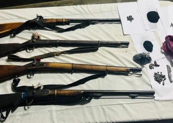 बिरुवामा अवैध चार नाल भरुवा बन्दुकसहित तीन जना पक्राउ