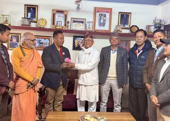 स्याङ्जा–२ मा कांग्रेसका मल्ललाई जय मातृभूमि पार्टीका थापाको समर्थन