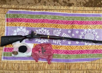 भरुवा बन्दुकसहित एक वृद्ध पक्राउ