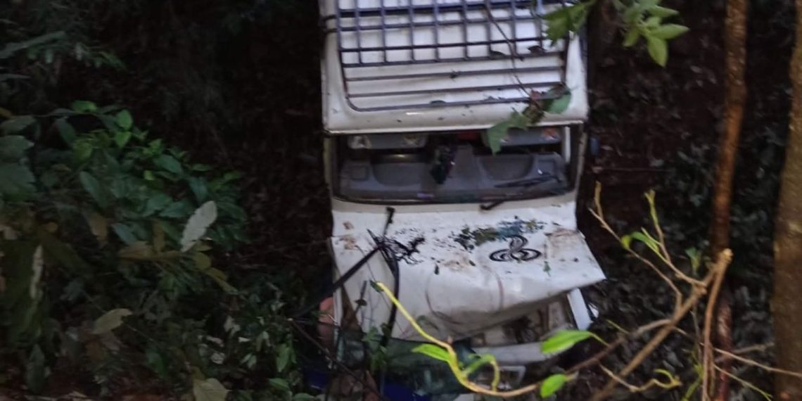 स्याङ्जामा जिप दुर्घटना, ११ जना घाइते