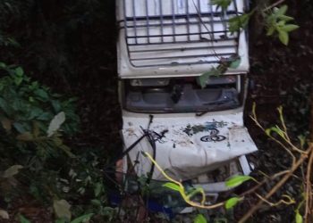 स्याङ्जामा जिप दुर्घटना, ११ जना घाइते