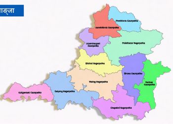 स्याङ्जामा औलोको जोखिम न्यून, चार वर्षमा भेटिए पाँच संक्रमित