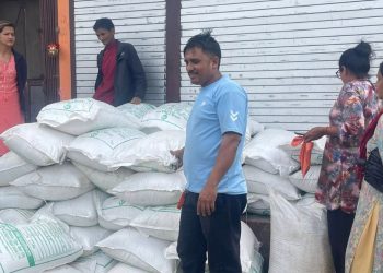 ५० प्रतिशत अनुदानमा पुतलीबजारका किसानलाई उन्नत धानको बीउ वितरण