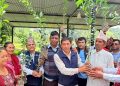 आँधीखोलामा सुन्तला–कागती खेती विस्तार, किसानलाई सहुलियतमा बिरुवा