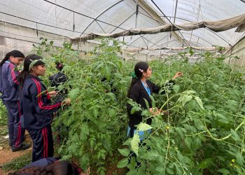 पढाइसँगै तरकारी खेती, पञ्चकन्या माविका विद्यार्थी आत्मनिर्भरतर्फ