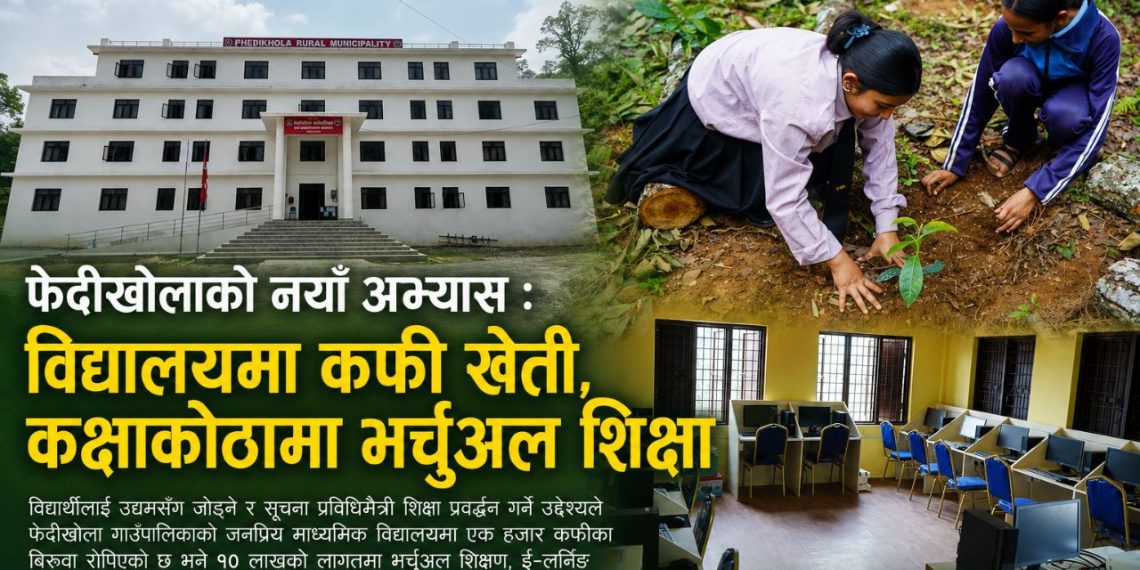फेदीखोलाको नयाँ अभ्यास: विद्यालयमा कफी खेती, कक्षाकोठामा भर्चुअल शिक्षा