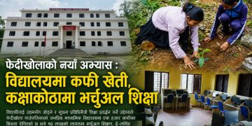 फेदीखोलाको नयाँ अभ्यास: विद्यालयमा कफी खेती, कक्षाकोठामा भर्चुअल शिक्षा