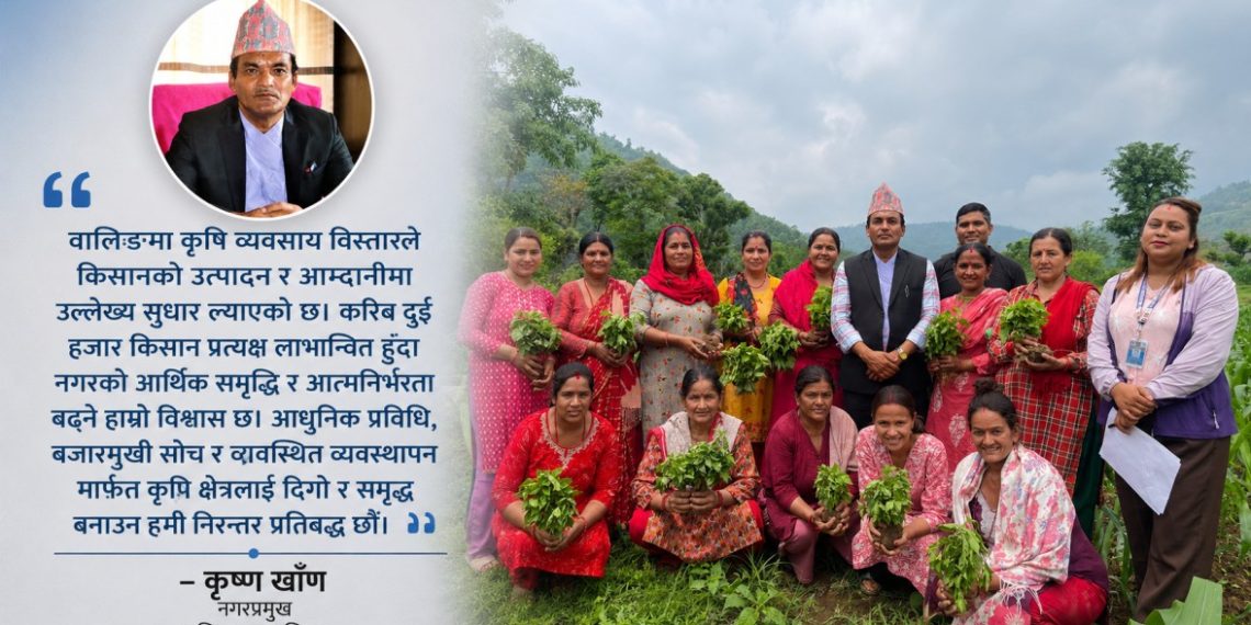 वालिङमा कृषि व्यवसाय विस्तार, दुई हजार किसानको आम्दानीमा टेवा