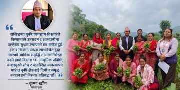 वालिङमा कृषि व्यवसाय विस्तार, दुई हजार किसानको आम्दानीमा टेवा