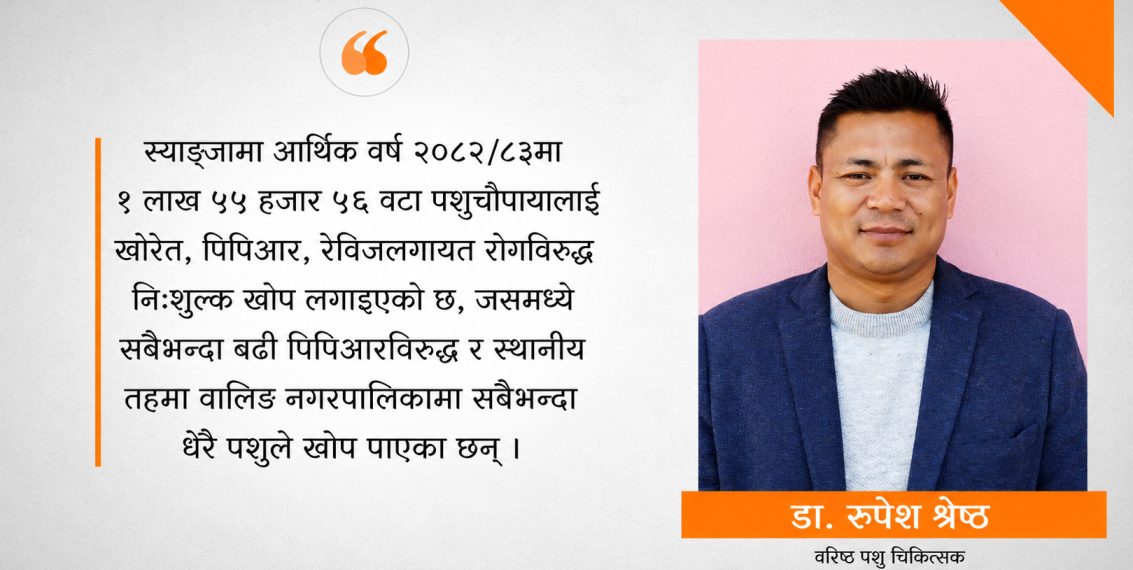 स्याङ्जामा डेढ लाखभन्दा बढी पशुचौपायाले पाए निःशुल्क खोप