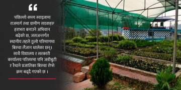 स्याङ्जामा ३६ हजारभन्दा बढी बिरुवा उत्पादन