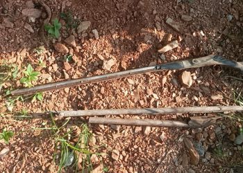 बेवारिसे भरुवा बन्दुक र कारतुस बरामद