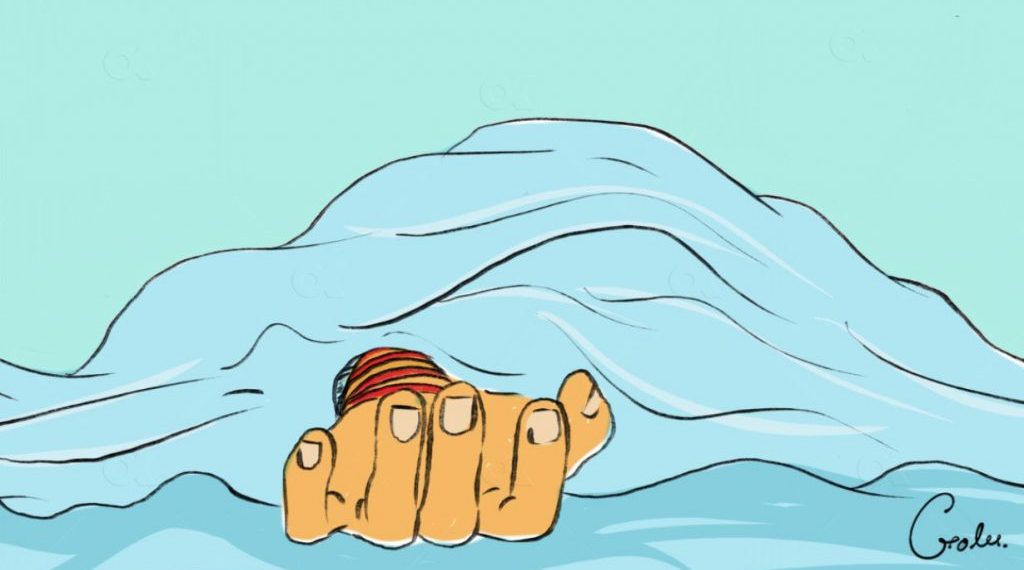 घाँस काट्ने क्रममा भिरबाट लडेर महिलाको मृत्यु