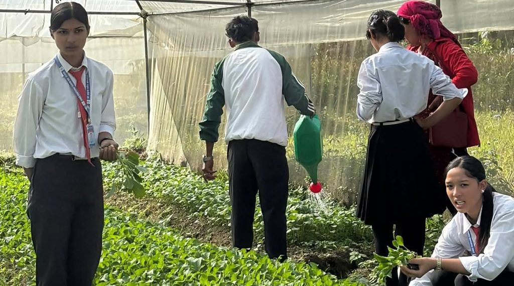 पढाइसँगै खेतीपातीमा रमाउँदै प्रद्युम्न पनेरू माविका विद्यार्थी